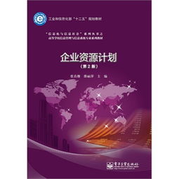 企業(yè)資源計劃系統(tǒng)與信息系統(tǒng)運行維護服務