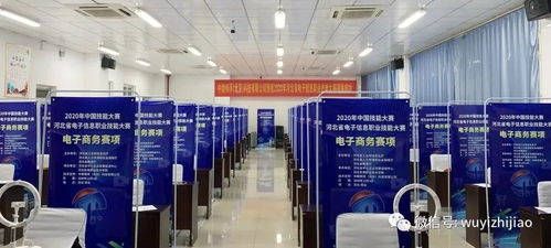 衡水市武邑職教中心教師在河北省電子信息服務業職業技能大賽中榮獲佳績，彰顯信息電子技術服務專業實力